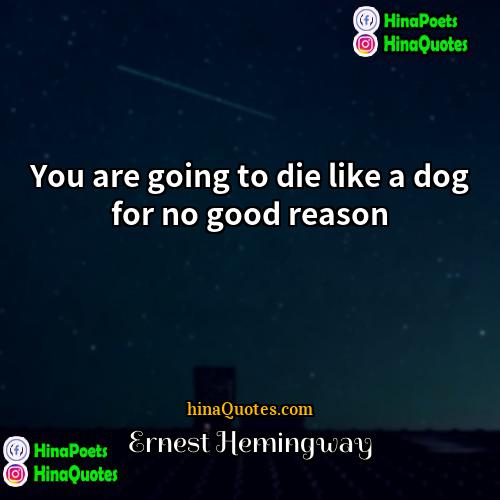 Ernest Hemingway Quotes | You are going to die like a